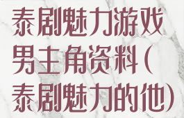 泰剧魅力游戏男主角资料(泰剧魅力的他)