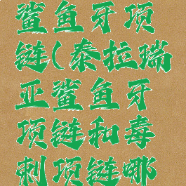 泰拉瑞亚鲨鱼牙项链(泰拉瑞亚鲨鱼牙项链和毒刺项链哪个好)