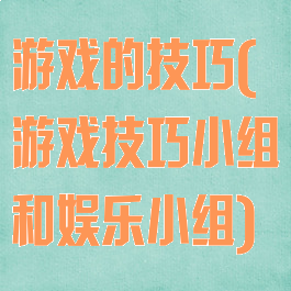 游戏的技巧(游戏技巧小组和娱乐小组)
