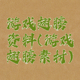 游戏翅膀资料(游戏翅膀素材)