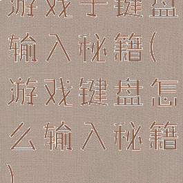 游戏子键盘输入秘籍(游戏键盘怎么输入秘籍)