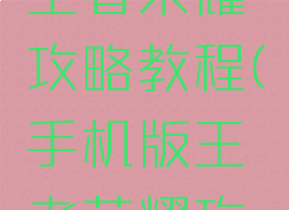 游戏蜂窝王者荣耀攻略教程(手机版王者荣耀攻略介绍)