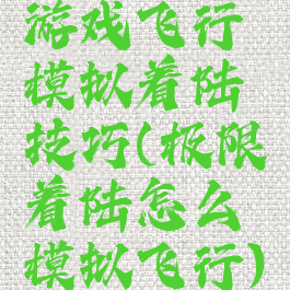 游戏飞行模拟着陆技巧(极限着陆怎么模拟飞行)