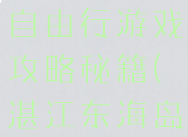 湛江东海岛自由行游戏攻略秘籍(湛江东海岛要门票不)