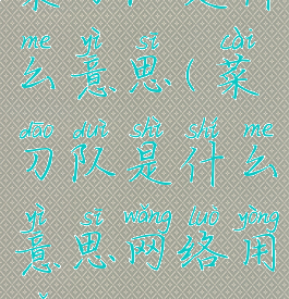菜刀队是什么意思(菜刀队是什么意思网络用语)