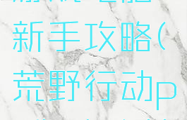 荒野行动游戏电脑新手攻略(荒野行动pc版攻略技巧)