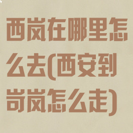 西岚在哪里怎么去(西安到岢岚怎么走)