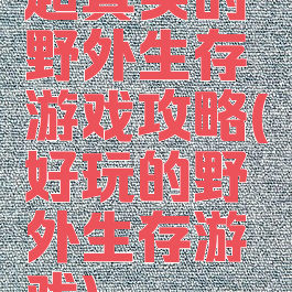 超真实的野外生存游戏攻略(好玩的野外生存游戏)