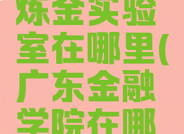 通灵学院炼金实验室在哪里(广东金融学院在哪里)