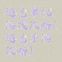 遇见单机游戏攻略(遇见手游攻略)