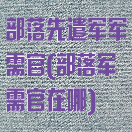 部落先遣军军需官(部落军需官在哪)