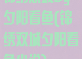 锦绣双城by夕阳看鱼(锦绣双城夕阳看鱼小说)