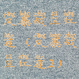 风暴战区红莲(风暴战区红莲2)