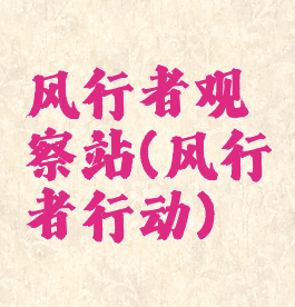 风行者观察站(风行者行动)