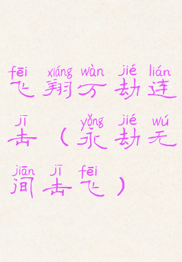飞翔万劫连击(永劫无间击飞)