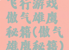 飞行游戏傲气雄鹰秘籍(傲气雄鹰秘籍)