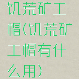 饥荒矿工帽(饥荒矿工帽有什么用)