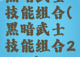 黑暗武士技能组合(黑暗武士技能组合2020)