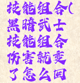 黑暗武士技能组合(黑暗武士技能组合伤害就变了怎么回事)