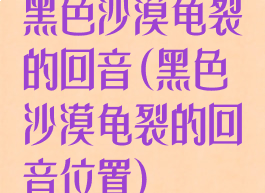 黑色沙漠龟裂的回音(黑色沙漠龟裂的回音位置)