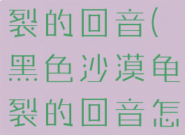 黑色沙漠龟裂的回音(黑色沙漠龟裂的回音怎么用)