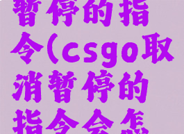 csgo取消暂停的指令(csgo取消暂停的指令会怎么样)