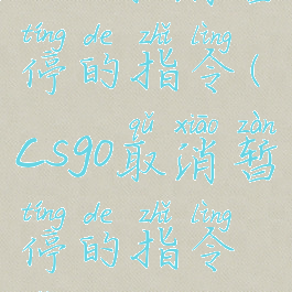 csgo取消暂停的指令(csgo取消暂停的指令怎么打)