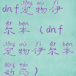 dnf宠物伊尔本(dnf宠物伊尔本动态)