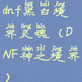 dnf黑白境界灵魂(DNF神之境界)
