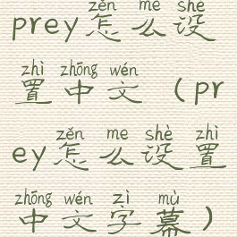 prey怎么设置中文(prey怎么设置中文字幕)